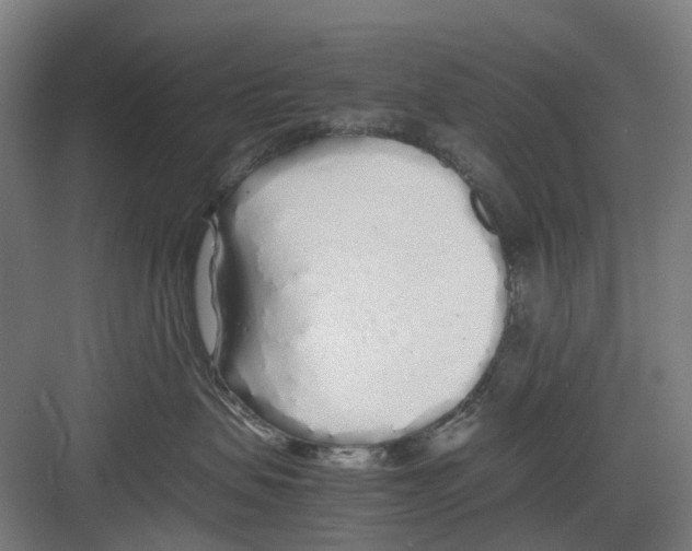 X0000082140479200702162147