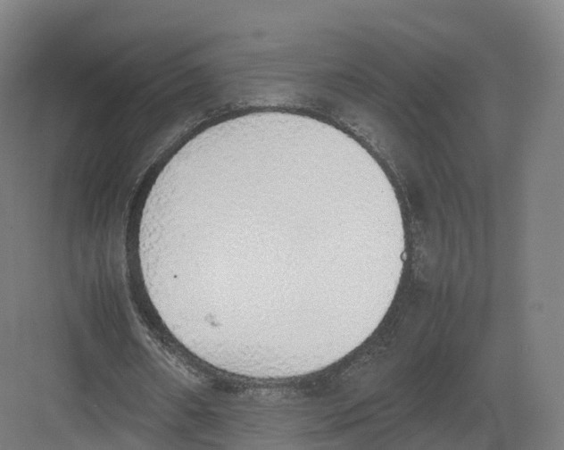 X0000082140482200702162146