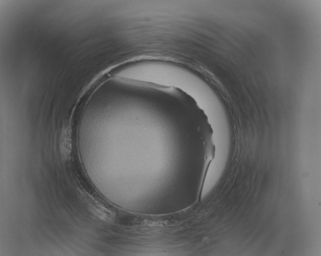 X0000082140484200702162146