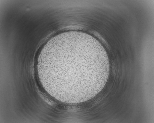 X0000082140486200702162146