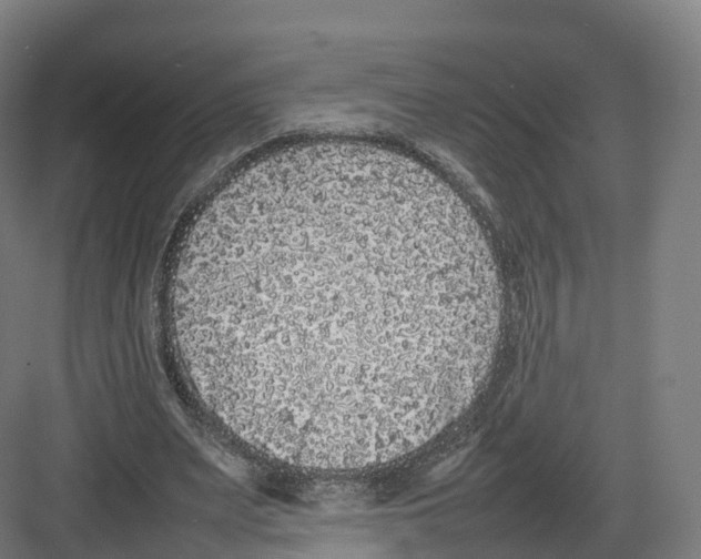 X0000082140487200702162146