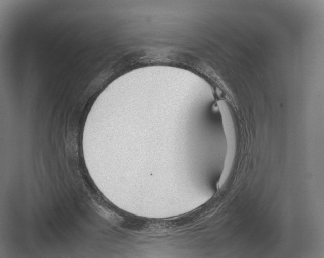 X0000082140489200702162146