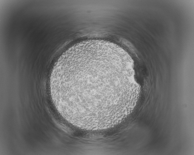 X0000082140491200702162146