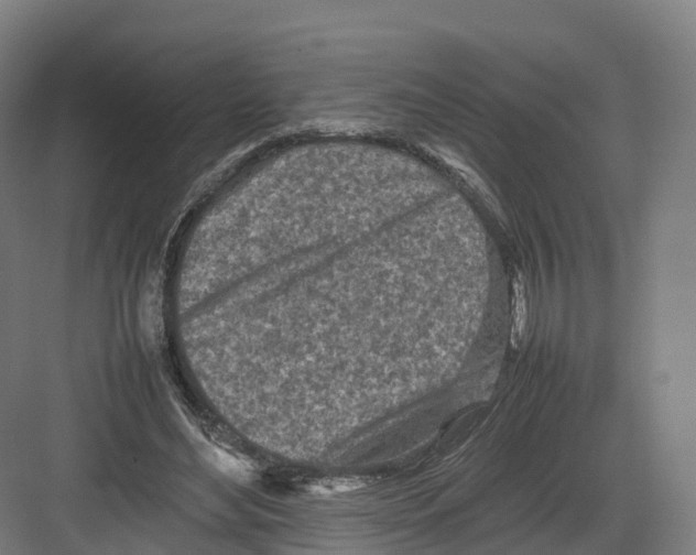 X0000082140492200702162146