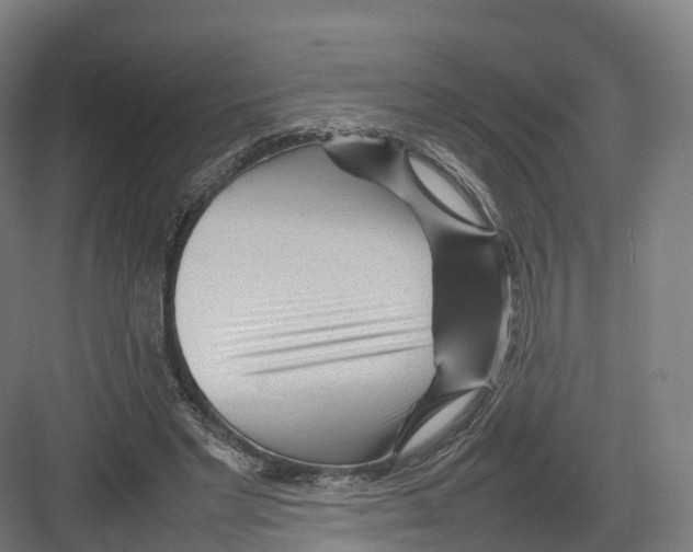 X0000082140493200702162146