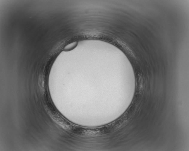 X0000082140494200702162146