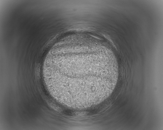 X0000082140495200702162146