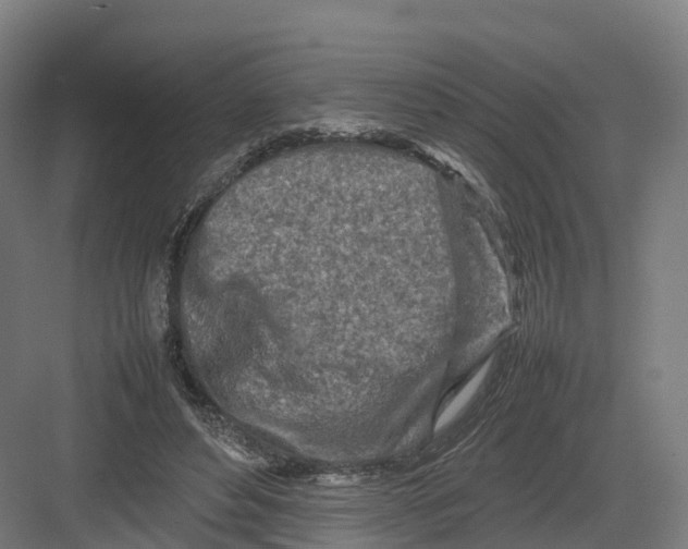 X0000082140496200702162146