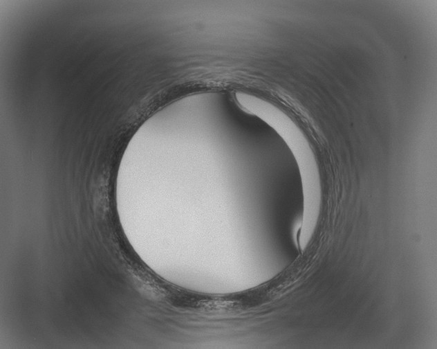 X0000082140497200702162146