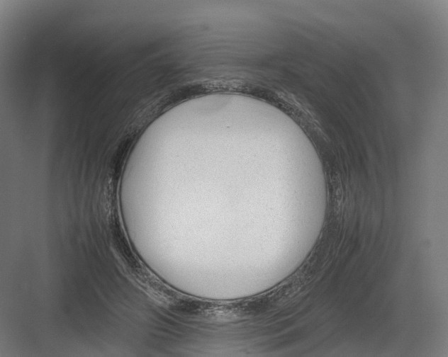 X0000082140498200702162146