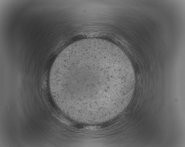 X0000082140499200702162146