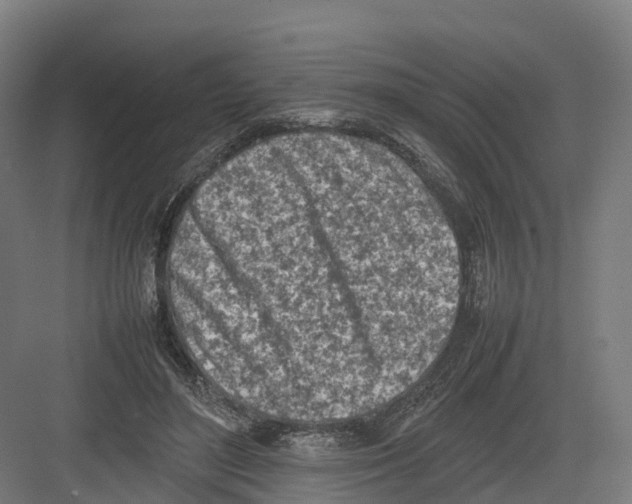 X0000082140500200702162146