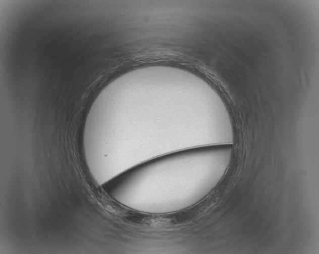 X0000082140501200702162146