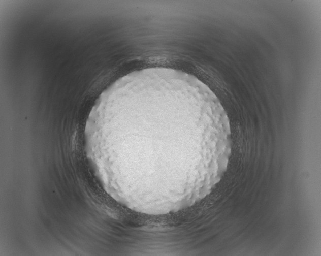 X0000082140502200702162146