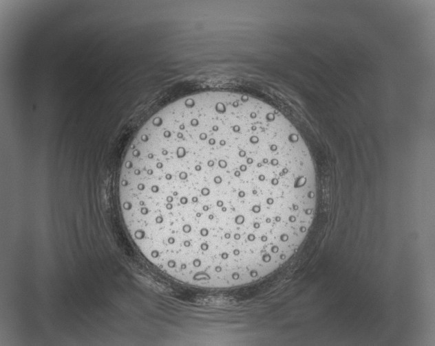 X0000082140503200702162146