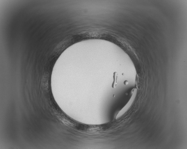 X0000082140505200702162146