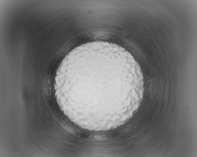 X0000082140506200702162146