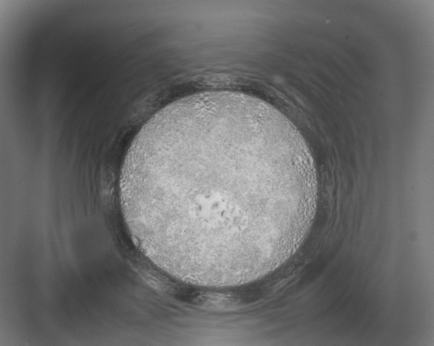 X0000082140507200702162146