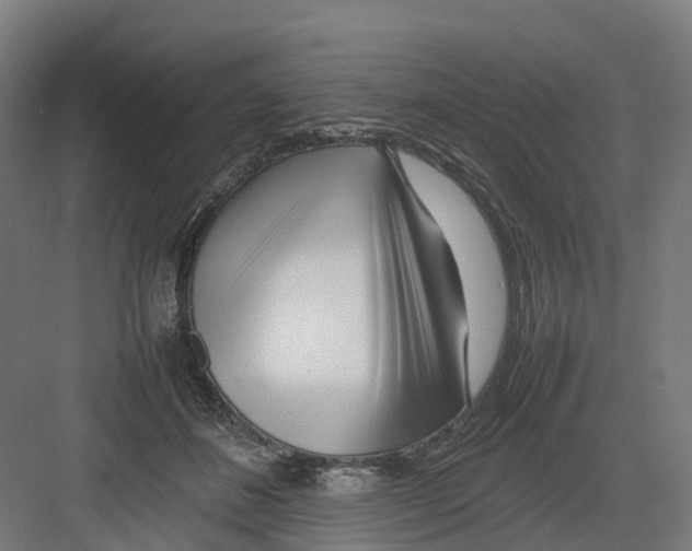 X0000082140508200702162146