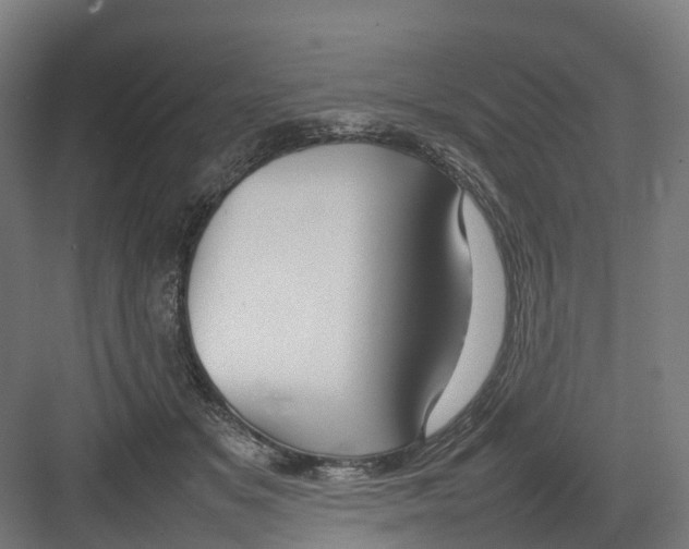 X0000082140509200702162146