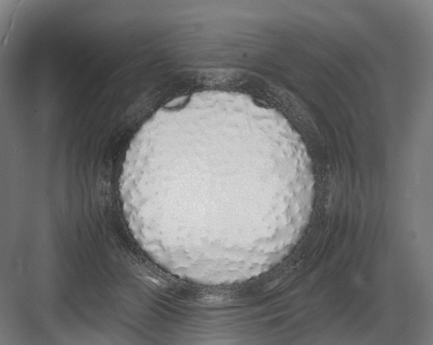 X0000082140510200702162146