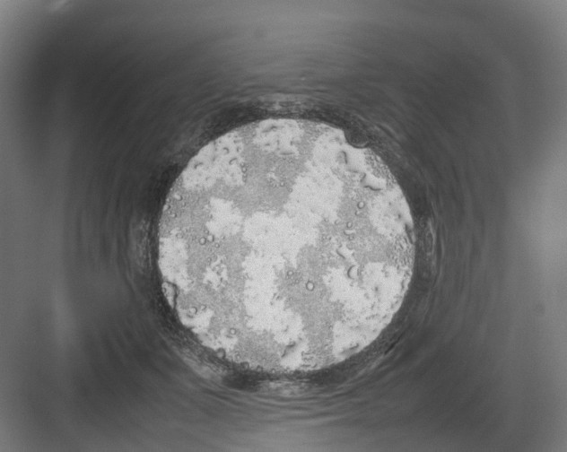 X0000082140511200702162146