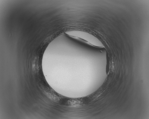 X0000082140512200702162146