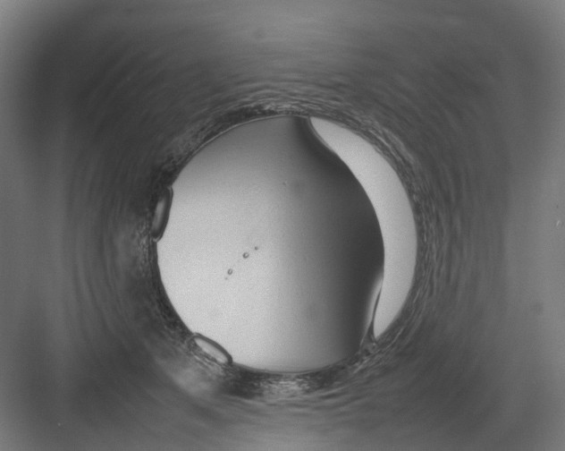 X0000082140513200702162146