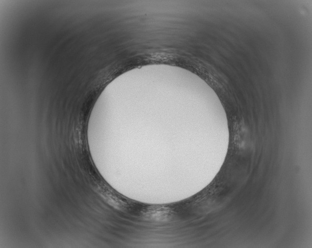 X0000082140514200702162146