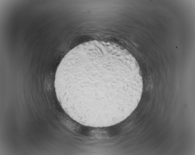 X0000082140515200702162146