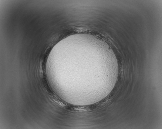 X0000082140516200702162146