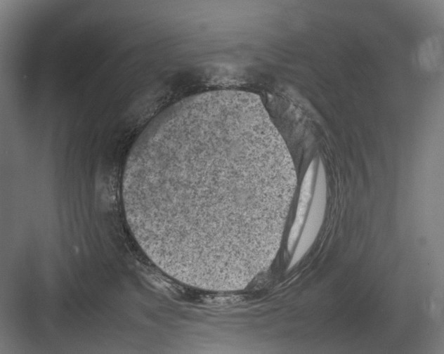 X0000082140517200702162146