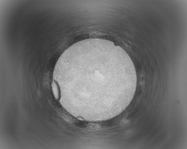 X0000082140519200702162146