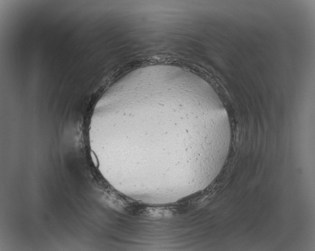 X0000082140520200702162146