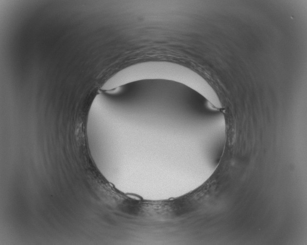 X0000082140521200702162146