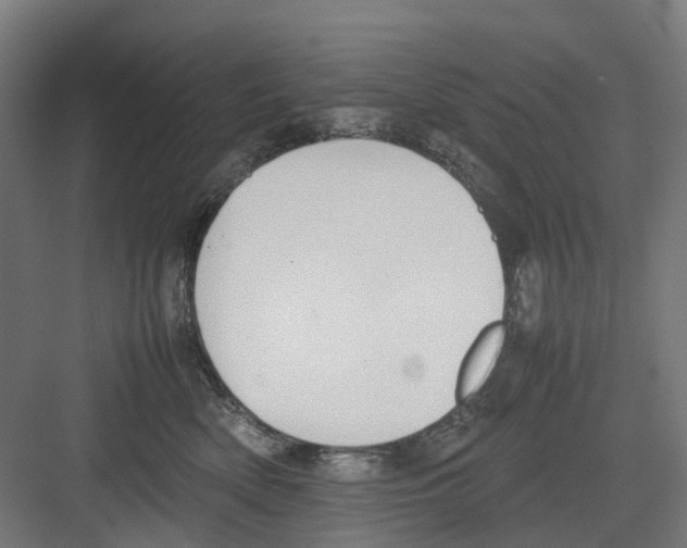 X0000082140522200702162146