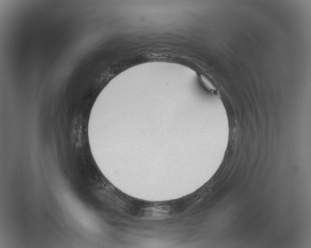 X0000082140525200702162146