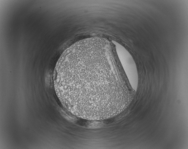 X0000082140527200702162146