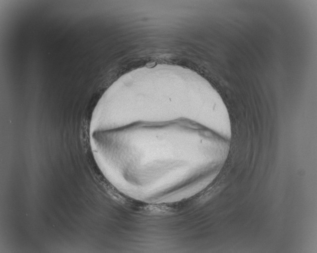 X0000082140528200702162146