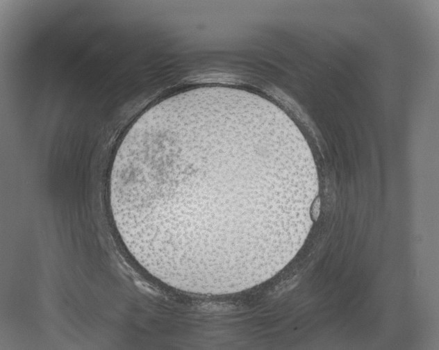 X0000082140529200702162145