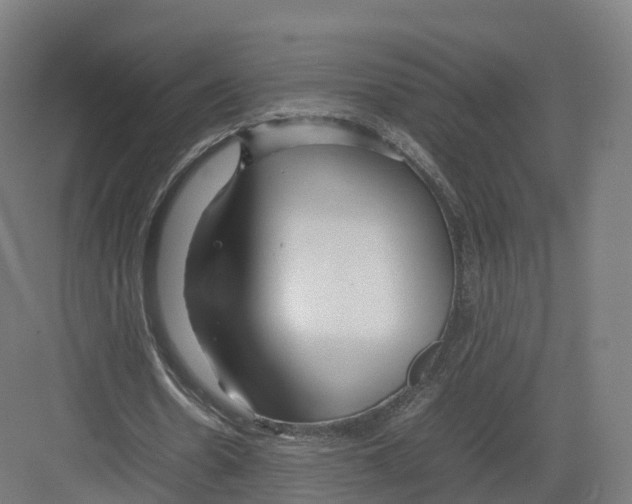 X0000082140530200702162145