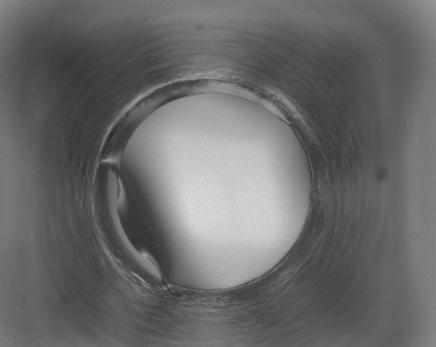 X0000082140532200702162145