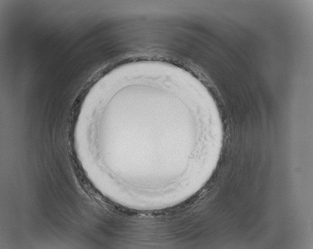 X0000082140534200702162145