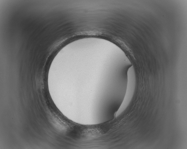 X0000082140536200702162145