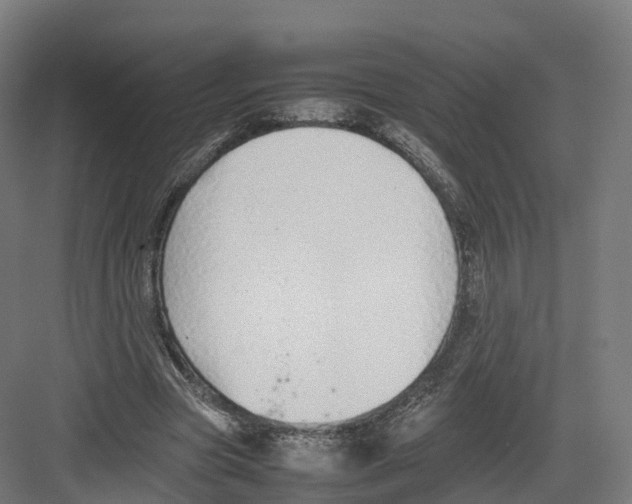 X0000082140537200702162145