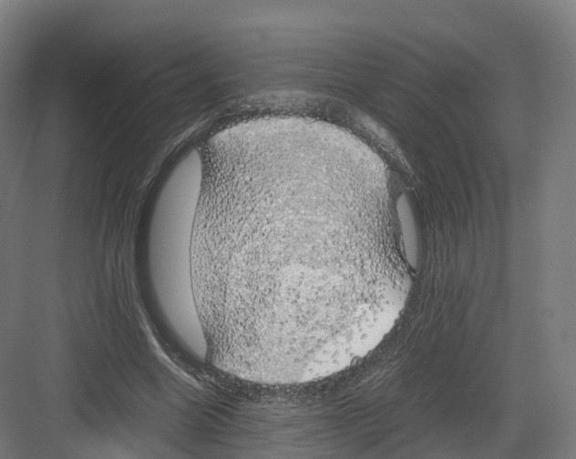 X0000082140538200702162145