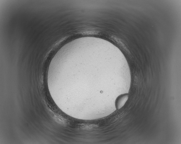 X0000082140539200702162145