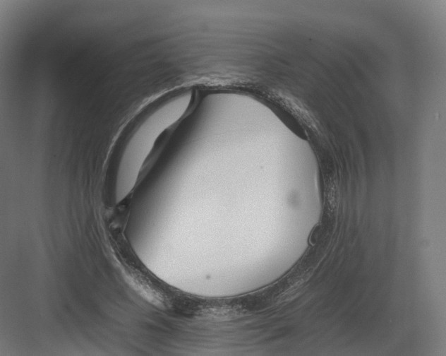 X0000082140540200702162145