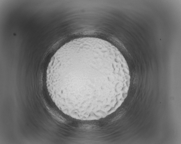 X0000082140542200702162145