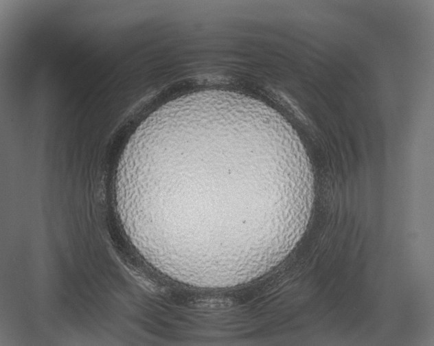 X0000082140543200702162145